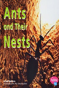 Reading 2010 Read-Aloud Grade K Unit 6 Week 6 Ants and Their Nests