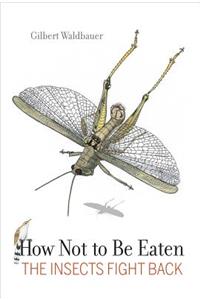 How Not to Be Eaten