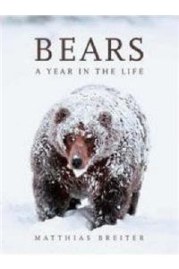 Bears