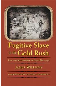 Fugitive Slave in the Gold Rush