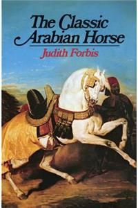 Classic Arabian Horse