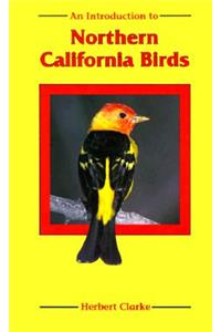 An Introduction to Northern California Birds