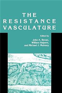 Resistance Vasculature