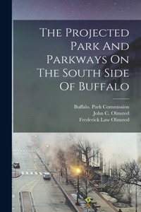 Projected Park And Parkways On The South Side Of Buffalo