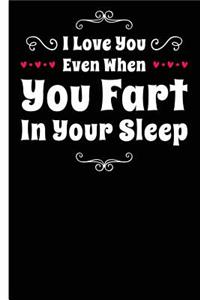I Love You Even When You Fart Happy Anniversary Lined Composition Notebook And Journal