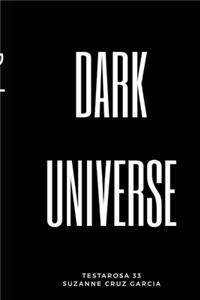 Dark Universe