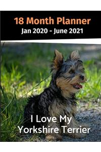 Jan 2020 - June 2021 18 Month Planner