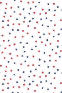 Patriotic Pattern United States of America 97