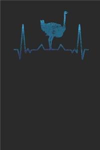 Ostrich Heartbeat