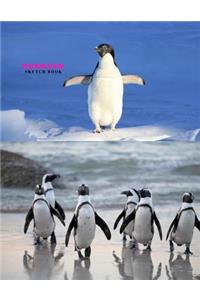 Penguin Sketch Book