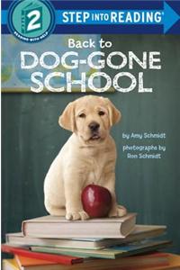 Back to Dog-Gone School