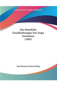 Mannliche Geschlechtsorgan Von Vespa Germanica (1895)