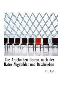 Die Arachniden Getreu Nach Der Natur Abgebildet Und Beschrieben