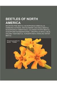 Beetles of North America