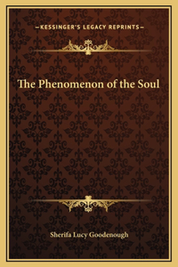 The Phenomenon of the Soul