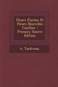 Fleurs D'antan Et Fleurs Nouvelles Cueillies