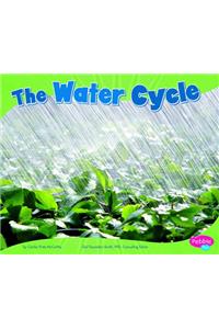 The Water Cycle