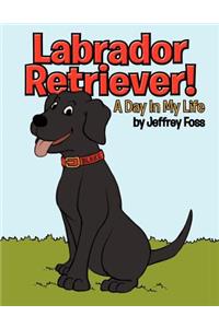 Labrador Retriever!