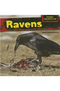 Ravens