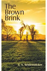 The Brown Brink