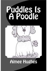 Puddles Is A Poodle