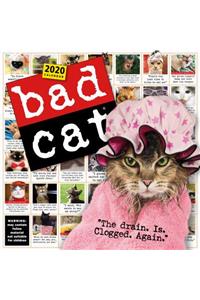 Bad Cat Wall Calendar 2020