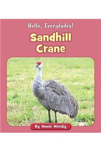 Sandhill Crane