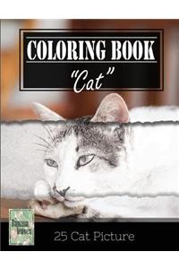Kittens Cat Sketch Gray Scale Photo Adult Coloring Book, Mind Relaxation Stress Relief