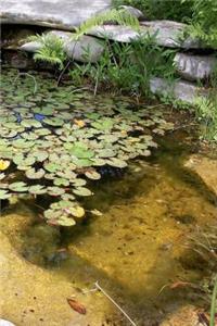 Pond Design and Construction Notebook
