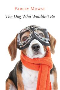 The Dog Who Wouldn't Be