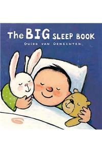 Big Sleep Book