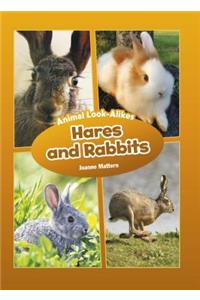 Hares and Rabbits