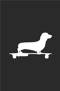 Dachshund On Skateboard