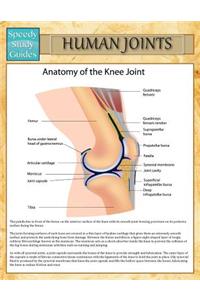 Human Joints (Speedy Study Guide)