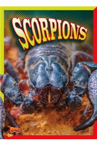 Scorpions