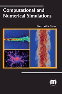 Computational And Numerical Simulations