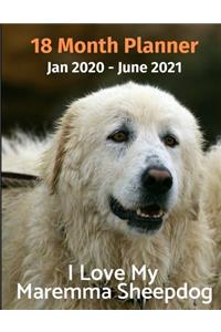 Jan 2020 - June 2021 18 Month Planner