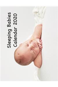 Sleeping Babies Calendar