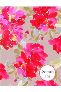 Demerit log