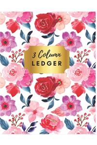 3 Column Ledger