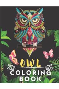 Owl Coloring Book