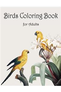 Birds Coloring Book for Adults: Adult Coloring Book with Stress Relieving Bird Designs and Patterns for Relaxation, Bird Coloring Book