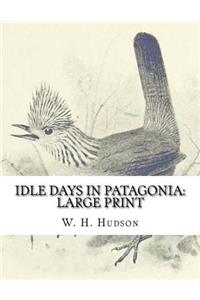 Idle Days in Patagonia