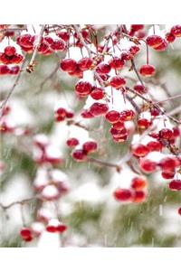 Winter Berries Red White Christmas Colors Snowstorm School Comp Book 130 Pages