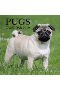 Pugs Calendar 2019