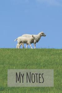 My Notes