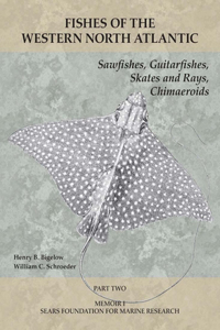 Sawfishes, Guitarfishes, Skates and Rays, Chimaeroids