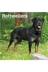 Rottweilers 2019 Square