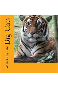 Big Cats