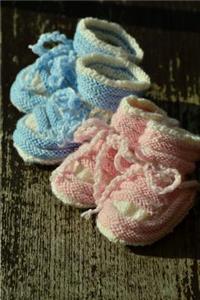 Pink and Blue Baby Shoes on a Bench Journal